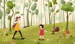 神奇的探险之旅 神奇的探险之旅